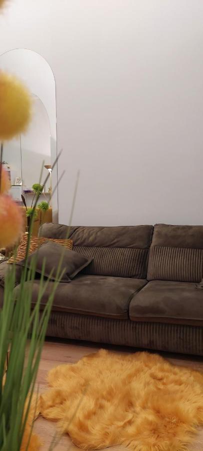 Apartament M Vatra Dornei Dış mekan fotoğraf