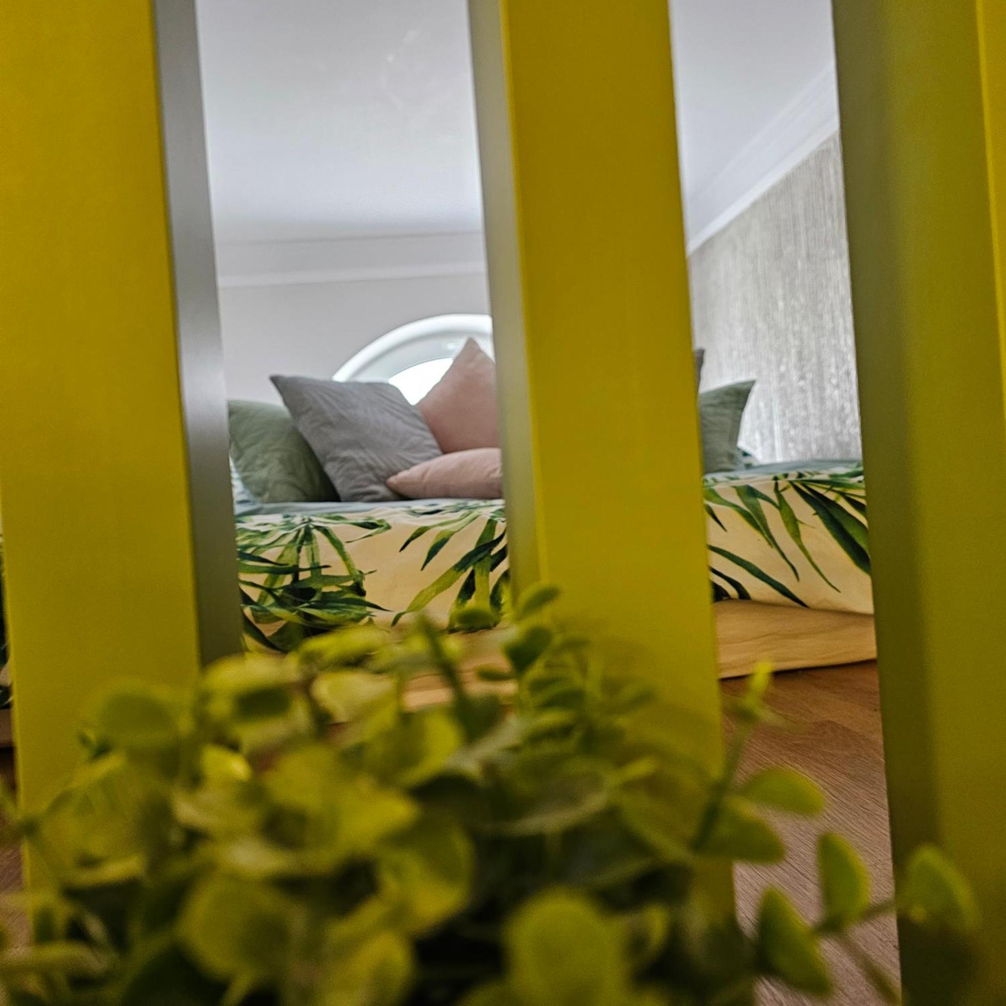 Apartament M Vatra Dornei Dış mekan fotoğraf
