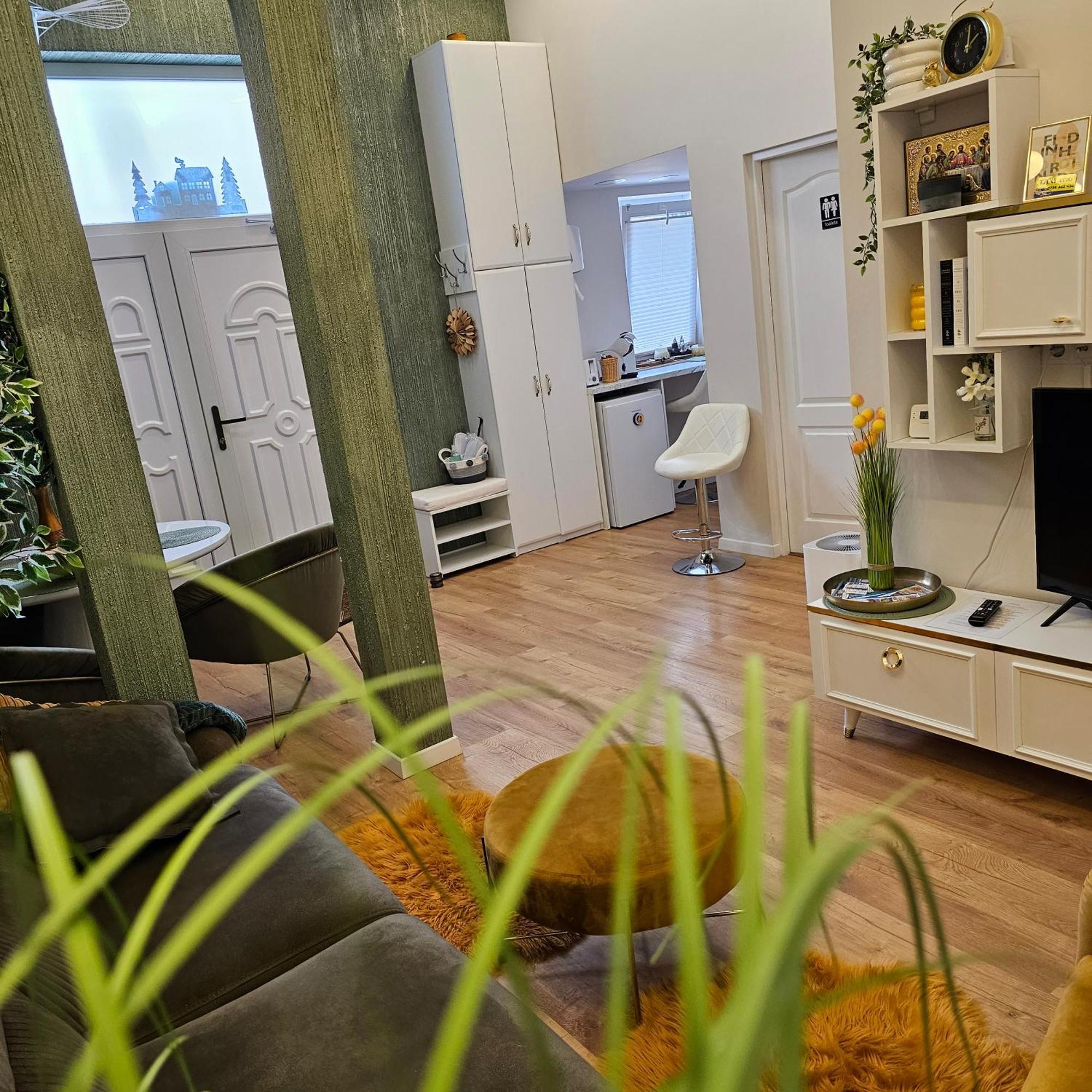 Apartament M Vatra Dornei Dış mekan fotoğraf